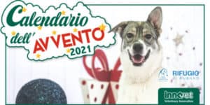 concorso calendario avvento innovet 2021