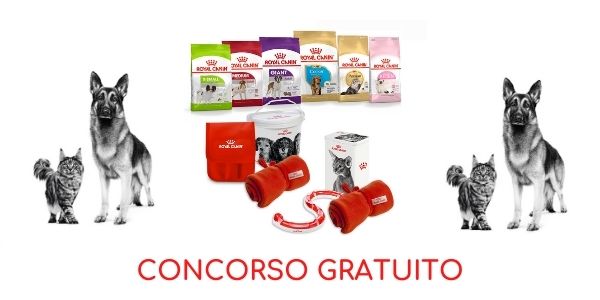 concorso gratuito Royal Canin