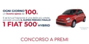 concorso a premi Felce Azzurra