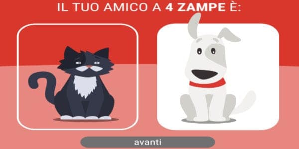 Purina Nice To Pet You