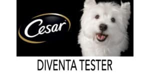 diventa tester cesar per cani su The Insider