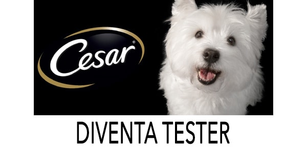 diventa tester Cesar cibo per cani
