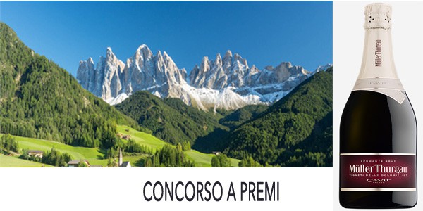 concorso Müller di Cavit